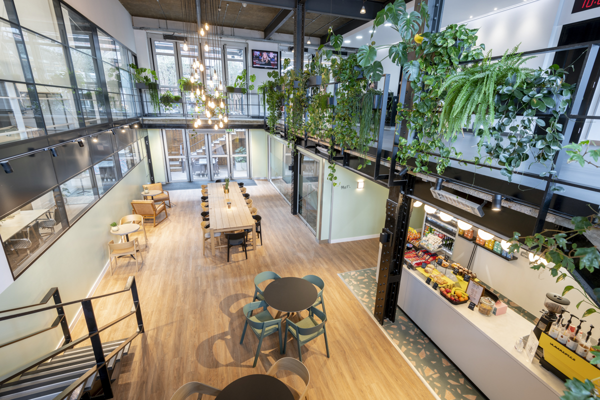 1648134114767 Groundworks Chiswick Office Curator Small 8